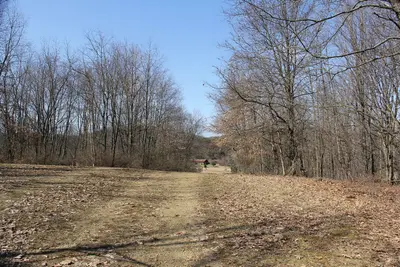 Yellow Creek State Park - panoramio (15)