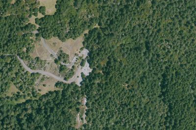 Pantoll Campground
