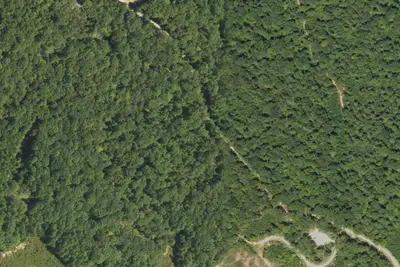 Site 4