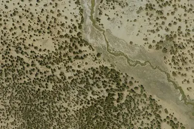 Camp site