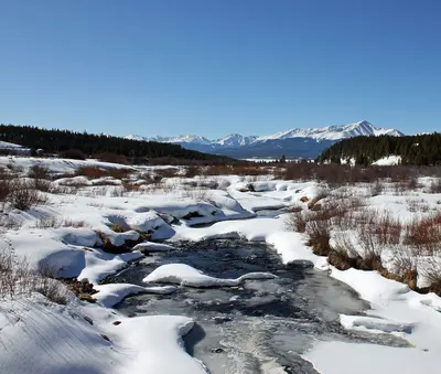 Tennessee Creek
