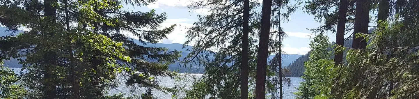 Priest Lake from Osprey Campground
