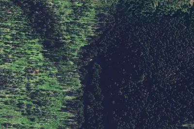Sr221rd-006