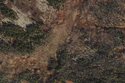Camp site