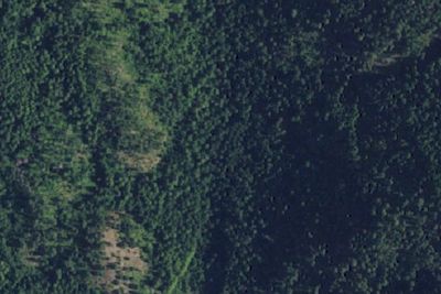 Lodge Creek Camp