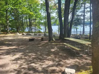Gooseneck lake campsite 1