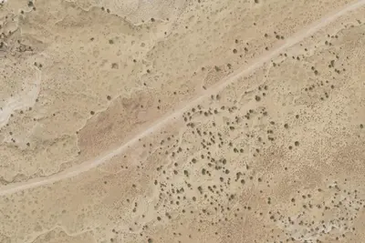 Camp site