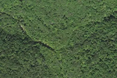 Camp site
