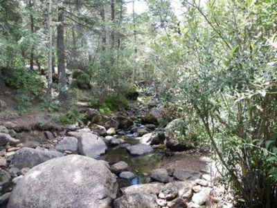 St Charles Campground - Lake Isabel