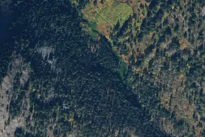 Camp site