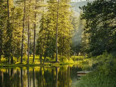 Milddle of Dalton Lake