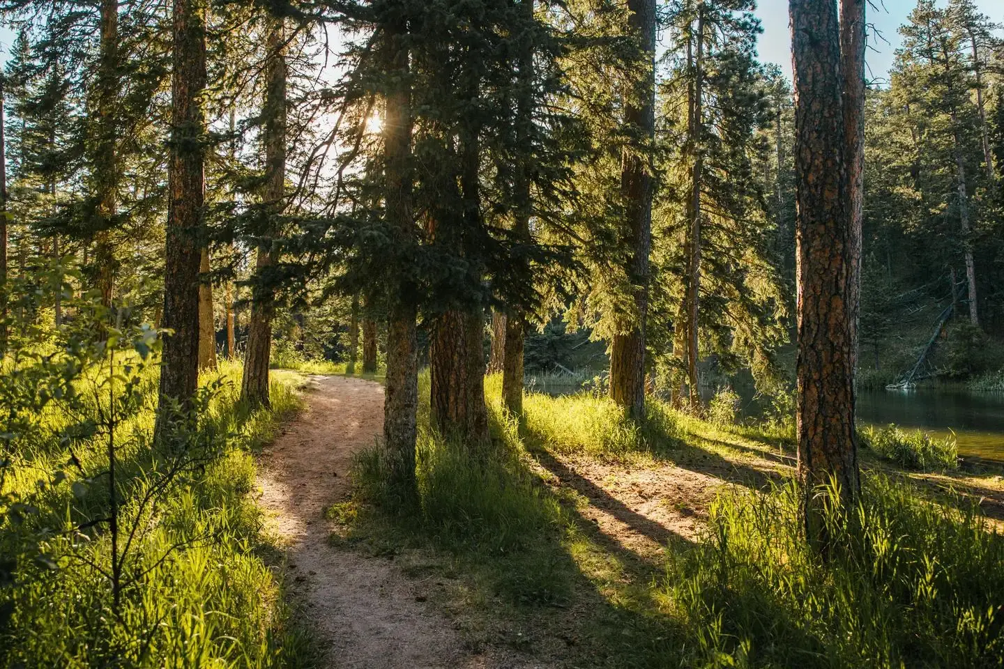 Dalton Lake Walking Path