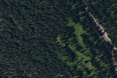 Camp site