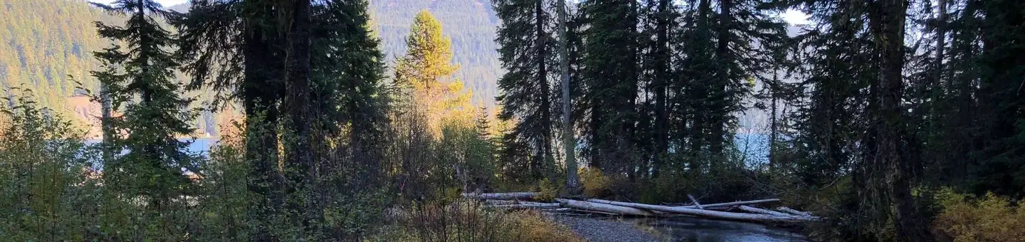 Trapper Creek