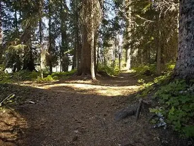 Trapper Creek Campground