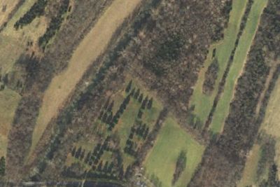 Site 4