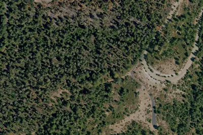 Sugar Pine Environmental Camp