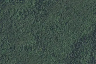 Site 2