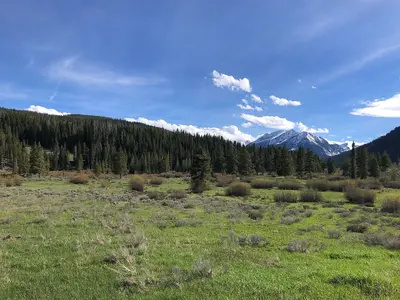 Forest Service - Northern Region (52377394580)