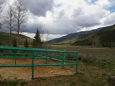 Tasha Equestrian
