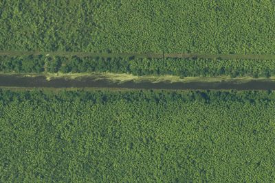 Camp site (Louisiana Department of Wildlife and Fisheries)