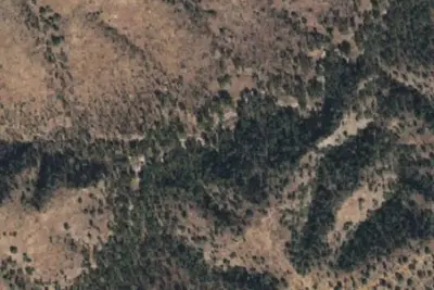 Camp site