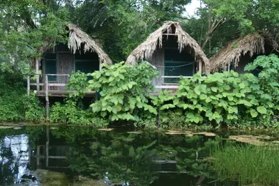 Cabañas en La palapa de Palenque