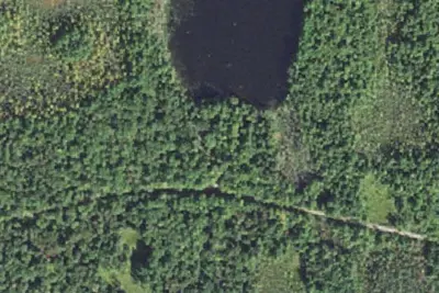 South Gemini Lake State Forest Campground