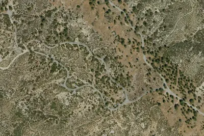 Site #7