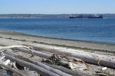Ship from Pt. Robinson Maury Island, WA - panoramio