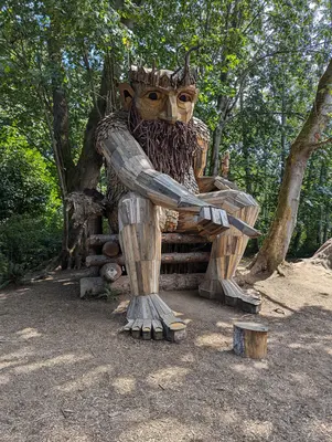 Vashon Troll