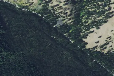 Camp site