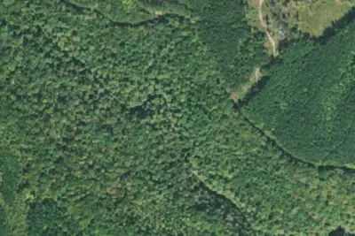 Camp site