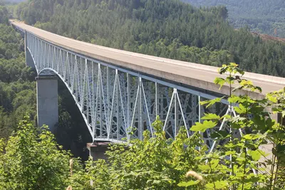 Hoffstadt Creek (7-23-24) 8908