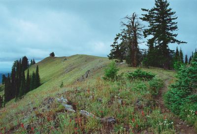 Hilltop Hideaway - Umatilla NF (OR)