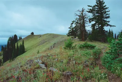 Hilltop Hideaway - Umatilla NF (OR)