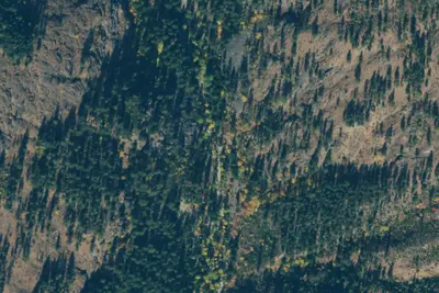 Camp site