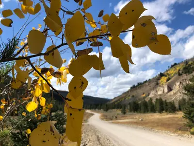 Fall Colors (52395440155)