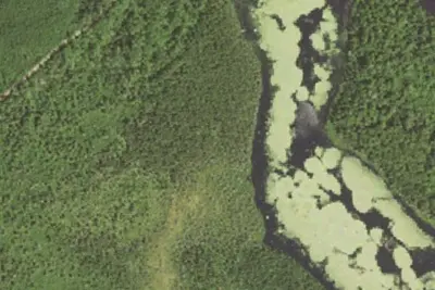 Elbow Lake Site 1
