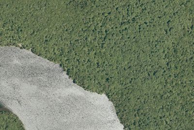 Camp site