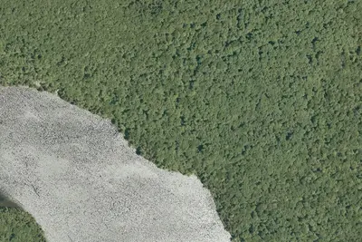 Camp site