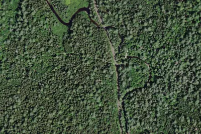 Site 4
