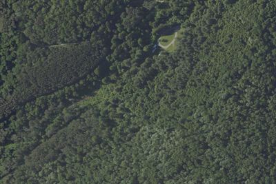 Kelly Pines Campground