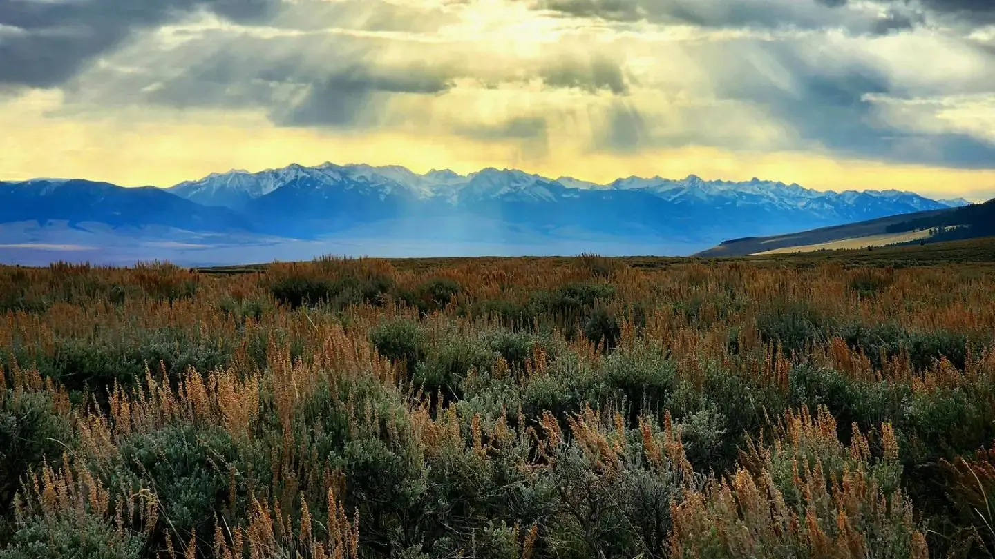 Gravelly Mountain Range