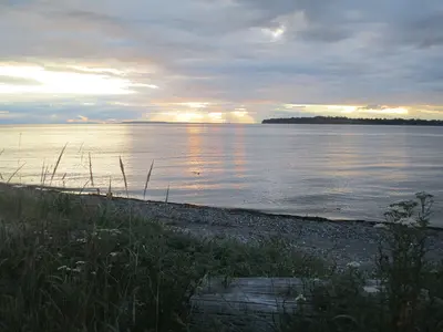 Along Birch Bay Drive (14375000077)