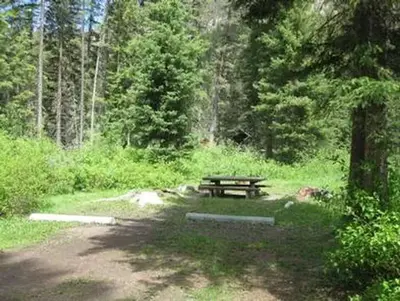Campsite surrounded by pine trees,  picnic table & fire ring