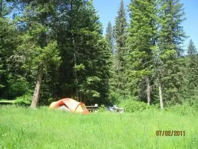 Campsite surrounded by pine trees,  picnic table, fire ring & tent