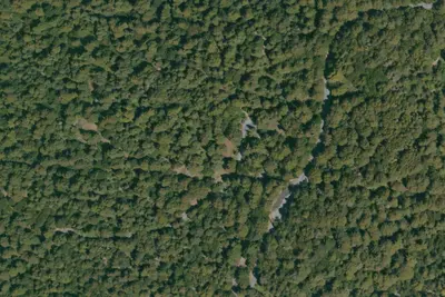 Camp site