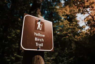 Yellow Birch Trail at George H. Crosby Manitou State Park, Minne (45091466614)