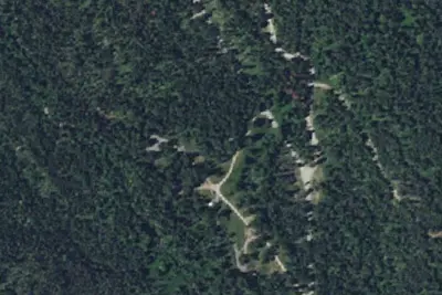 Pine Grove-001a